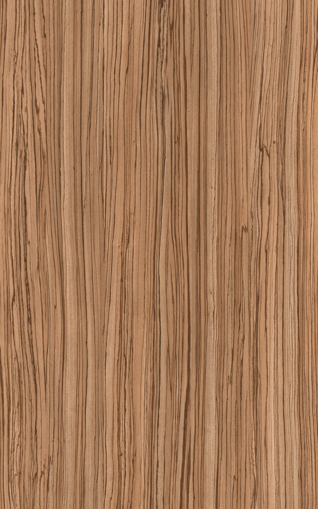 Asansör Laminat Modelleri